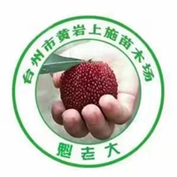 杨梅苗直营地