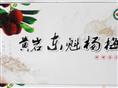 专业生产品种纯正的荸荠种杨梅苗~ 