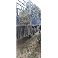 3分枝柽柳小苗装车中 