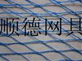 扁丝防鸟网 渔网养殖网 