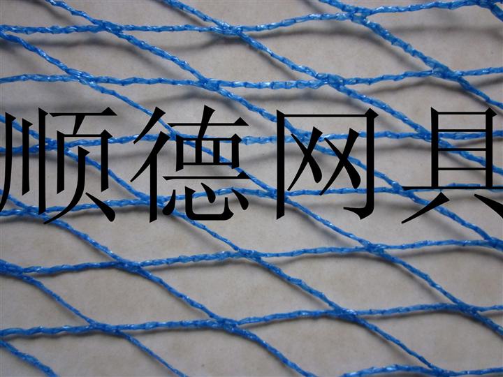 扁丝防鸟网 渔网养殖网 