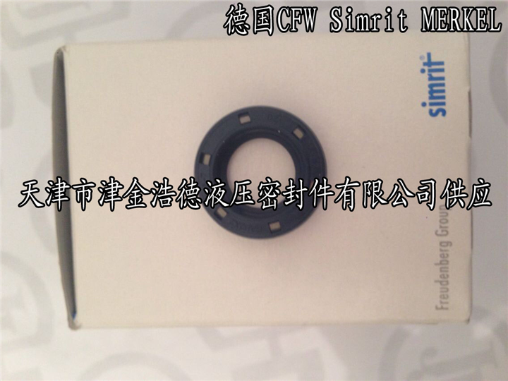 双唇丁腈外骨架B1SL型CFW油封 