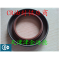 外铁壳CR品牌油封CRSA1型 