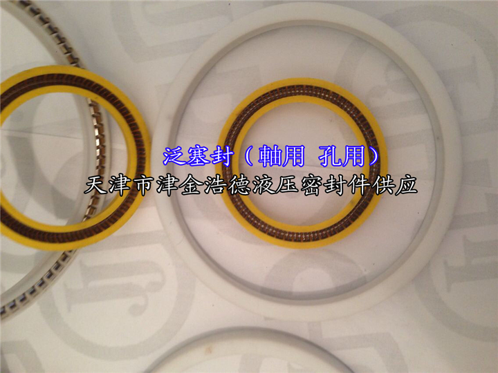 不锈钢进口泛塞封 