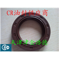 HMSA1型CR品牌美国油封 