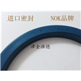 液压缸活塞专用OUIS型NOK密封件 