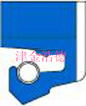 研磨机使用的油封，大型齿轮箱使用的油封，R36型径向油封 