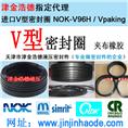 V型密封圈（Vpaking）生产厂家 