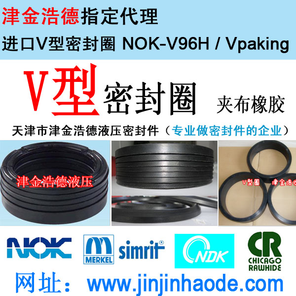 V型密封圈（Vpaking）生产厂家 