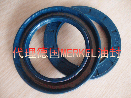 MSS1组合密封,模块组合封,哪里有德国进口的密封件 