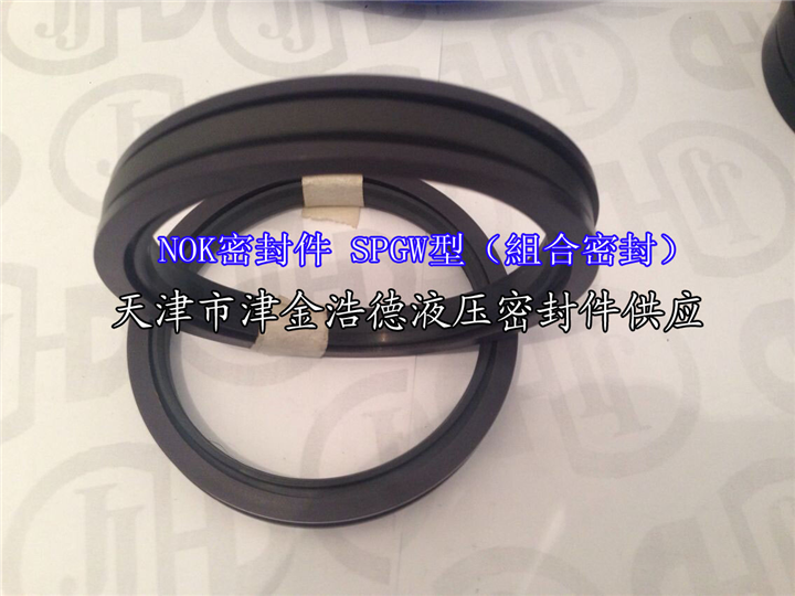 NOK-SPGW型活塞专用组合密封件 