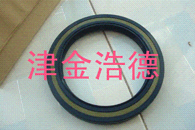 哪里批发德国进口MSS-1油封，氟橡胶油封 