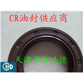 美国CR油封型号批发 