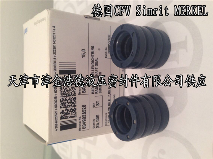 BAU型CFW骨架油封 