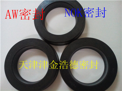 NOK-UPH型氟胶密封件 