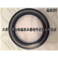 CFW单唇无簧型骨架油封BAOF 