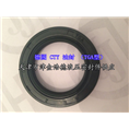 三个唇口TG4型CTY油封 