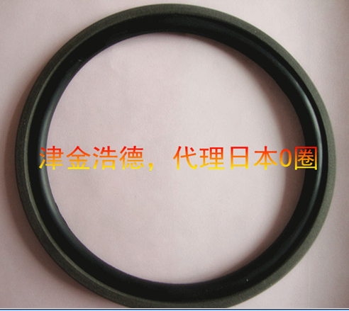 天津格莱圈/斯特封/耐磨环/导向环厂家 