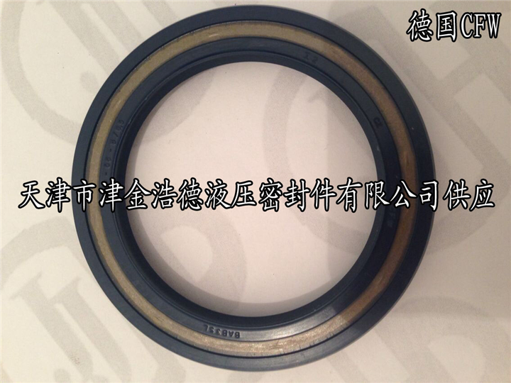 CFW单唇无簧型骨架油封BAOF 