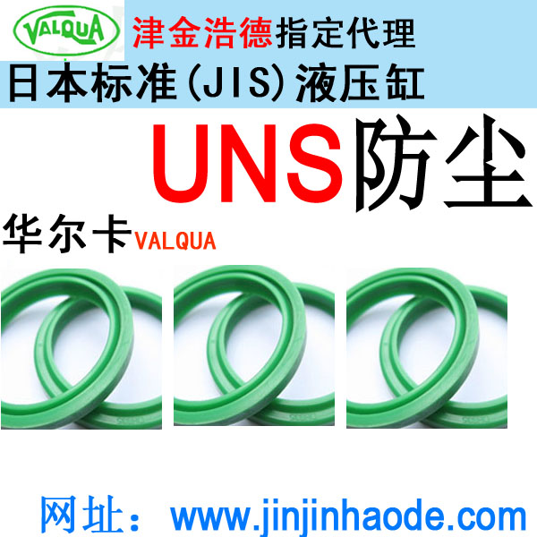 活塞杆密封件 