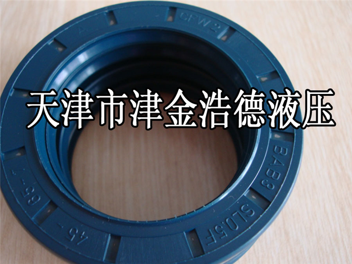 天津供应德国CFW-BABSL80/100/7批发供应商 
