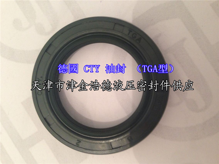 三个唇口TG4型CTY油封 