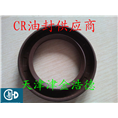 CR品牌双唇骨架油封HMSA1型 
