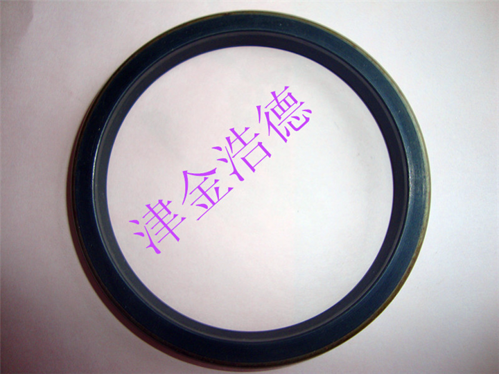 VB/VC型油封，可以和S型一起用的油封，天津哪里有日本的油封卖 