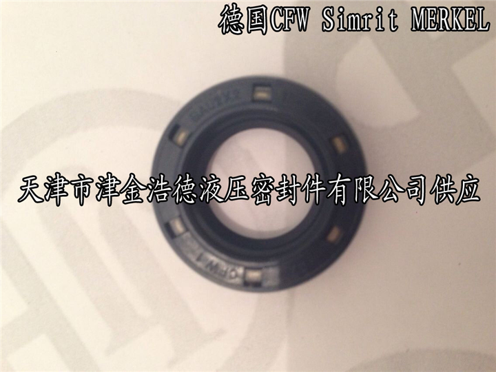 德国油封代理批发BAU型油封 
