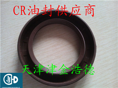 CR品牌双唇骨架油封HMSA1型 