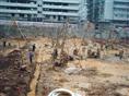 北京打农业井 