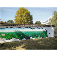 龙游县志棠村3d彩案例