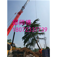 金华吊车出租