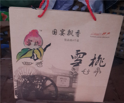 丽江雪桃外包装礼盒 