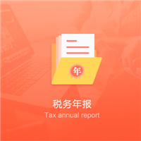 税务年报