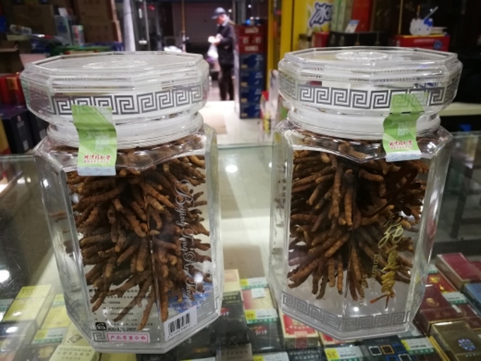 南京冬虫夏草回收告诉你高低端白酒有何区别