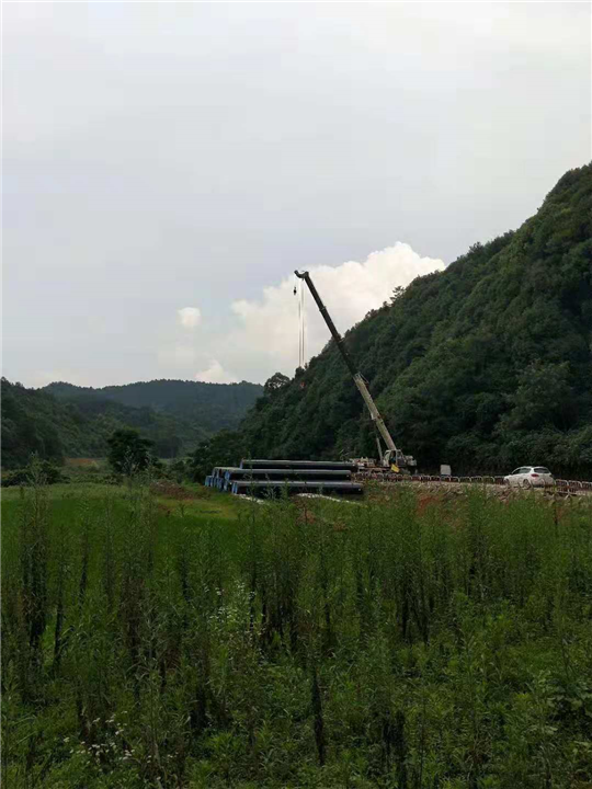 岳阳金盆吊车公司