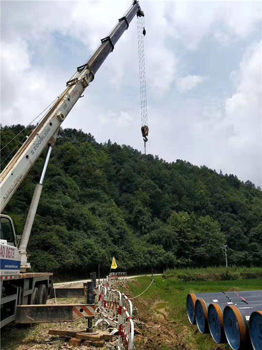 服务项目：岳阳吊车
