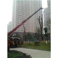 24小时为您提供优质岳阳吊车服务