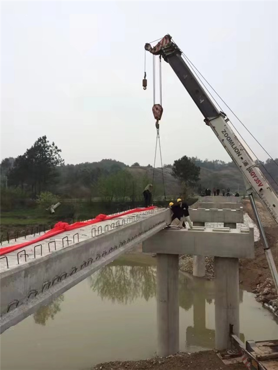 岳阳吊车租赁-搬运，装卸