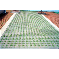 福州植草砖厂家 