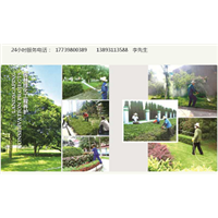 兰州花卉销售*兰州园林绿化养护*（随您选）13893113588 