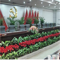 兰州欣陇苗圃、租摆、园林绿化