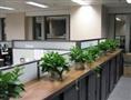 甘肃绿植销售 兰州绿植租摆－兰州欣陇苗圃欢迎您 