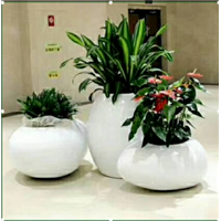 兰州绿植租摆，兰州花卉销售13893113588 兰州花园盆景 