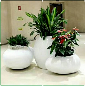 兰州绿植租摆，兰州花卉销售13893113588 兰州花园盆景 