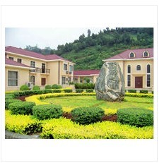 兰州园林工程】会场花卉布置，兰州单位庆典开业花卉租摆（省委青年农场某一角景点） 