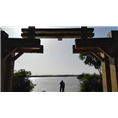 宁夏旅游包车|银川包车联系电话