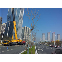 合肥吊车租赁-合肥吊车租赁公司