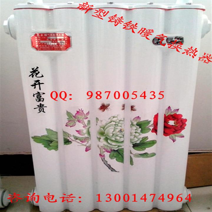 新型铸铁暖气换热器电话13001474964 